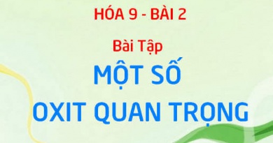 Bài tập về Canxi Oxit CaO, Lưu huỳnh Dioxit SO2: các Oxit quan trọng - Hóa 9 bài 2